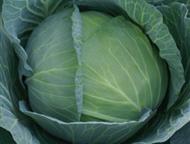 �������: ������������ ����� � ��������� ����� �� ���������� � �������� ����� �������� ������ ��� � ������� ���� � ������ ��� �����? ������� ����������� �������