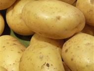 �������: ������������ ����� � ��������� ����� �� ���������� � �������� ����� �������� ������ ��� � ������� ���� � ������ ��� �����? ������� ����������� �������