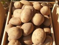 ���������, �������, ������ � ������� ����� � ������ ����� �������� ������ ��� � ������� ���� � ������ ��� �����? ������� ����������� ���������� ����, , ������� - ����������������