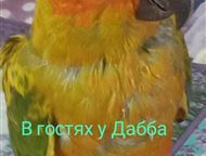             ,   .   ,  - , 