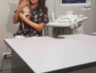    ,               .  ,  -  