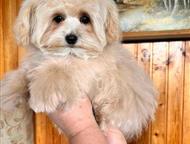 ������: ����� �������� f1 �������� f1 ����  � ����� ��������� �� ������ ����� ��� ����� 10. 05. 25 � 23. 05. 25  ��� ������� ����� ����� �� 2. 8��  ��� ����