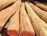 ,   ,  , . .          ,  -  