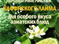 ������: ��������� � �������������� ������ ProGynuru � ���� ����������� �������� ��� �������� � ������� �Tropical life � �������� �������: ��������� �� �������