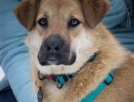 �������� ���������� ���� ��� � ������� �����! � ������ ����, ������ � �������.   ����������, 4, 5 ����.   �� ���������� ����� ���� � ����� ��� ���� ��, ������ - ������� �����,  ������