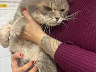 ������: �������������� ����������� ������� ����� ��� �� ����� ����, ������ ��������� �� ��������� ����������.   ���� ������ �������� ����.   �� ��������, ����