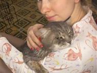 ������: �������������� ����������� ������� ����� ��� �� ����� ����, ������ ��������� �� ��������� ����������.   ���� ������ �������� ����.   �� ��������, ����