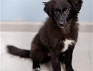 ������: ������� �������� ������ ���� ���, �� �������. ������ ������, ������� ����� ����� ���� �������.   ����� �������, �������, �������� � ���������� �������