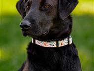 ������: �������� ������� ��������� ���� ���, ������ 1 ���. �������������, �������, ����������. ����� �� ���������� � �����, ��� ��� 2 ������, � �������� ��� �