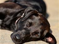 ������: �������� ������� ��������� ���� ���, ������ 1 ���. �������������, �������, ����������. ����� �� ���������� � �����, ��� ��� 2 ������, � �������� ��� �