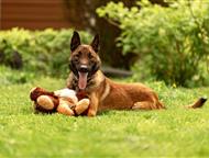 ��������� ����� ���� ���, ���������� ������ 2 ����. ������, ������, �����������. ����� ������� �������, ������� � ������.   �������������� � ������� �, ������ - ����� �����