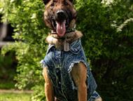 ������: ��������� ����� ���� ���, ���������� ������ 2 ����. ������, ������, �����������. ����� ������� �������, ������� � ������.   �������������� � ������� �