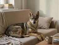 ������: ���� - ����������� �������, � ����� ������ ������� ������ � ��. ���� �� ����������, �� ������, �� ������� ��������, �� ����������� ������� �� ��������