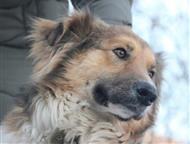 ����� ������� ��������� �����-���������    ����� ������� ���������.     ���������� �������� �� ����� ���� ��� � ����� � �����-���������� � ��!     ��, �����-��������� - ������� �����,  ������