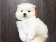    ,    ! ! ! !  ! ! !               ,  ,   -  ,  
