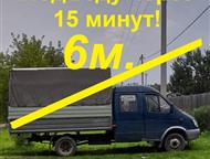  :  ,  ,  ,   .    ,   3 1, 5  1, 8 .  