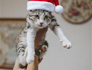 ������� ����� ���� ����� #���� #���������   ������� �� ����� ����� ���� ���� ������� �����!   ����� ��� ������ � �����, � ���� ��� ���� ��������� ����, ���� - ������� ����� � �����