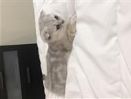        (), 2, 5 ,    ,  .    ,  -    