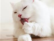 :  , !  , !     ,  .       . ,   